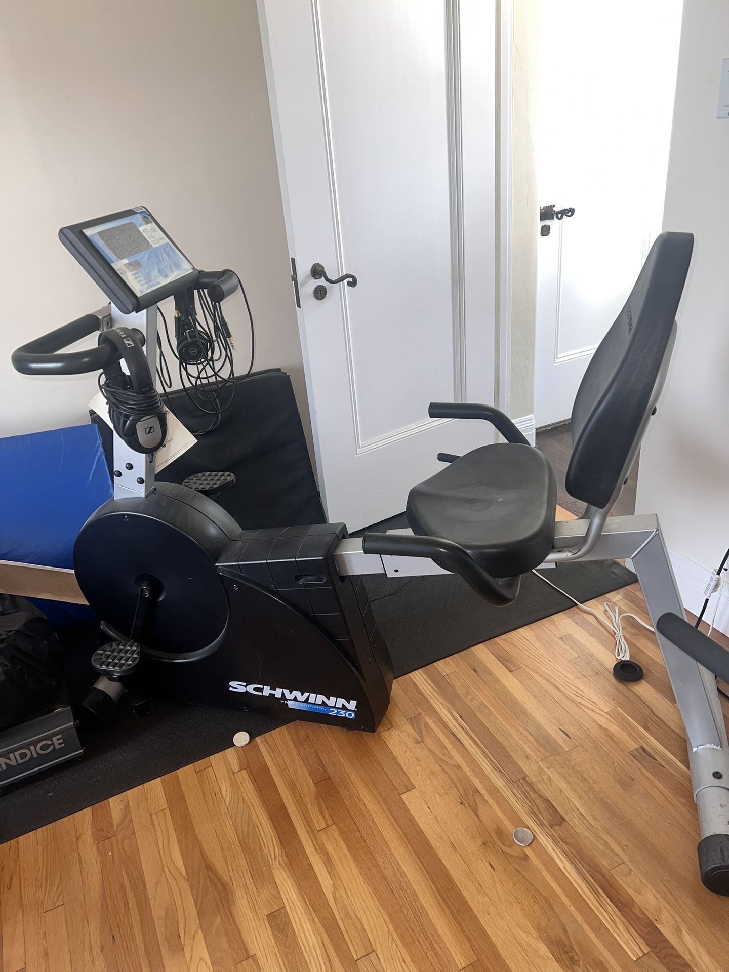 Schwinn 230 Recumbent Bike