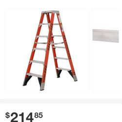 Ladder Werner 