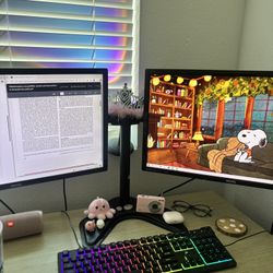 Complete Dual-Monitor Setup! 💻