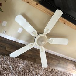 Ceiling Fan 