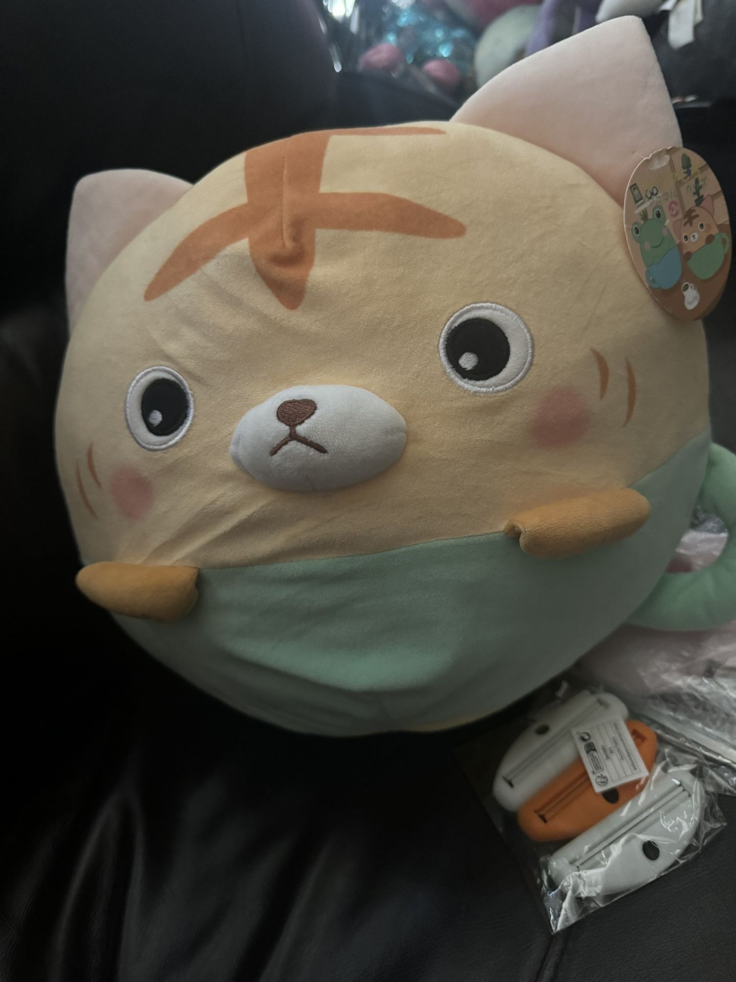 Cat In Green Teacup Plush Delivery Obo