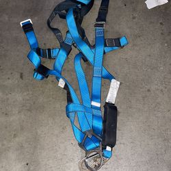 Safety Harness