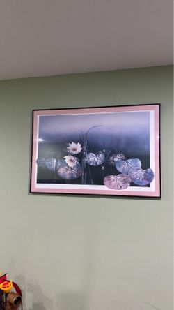 Picture frame