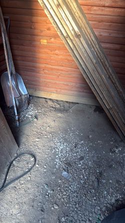 Shed