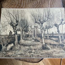 Van Gogh “Pollard Birches 