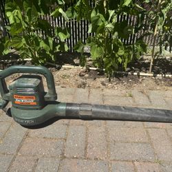 Vac ‘N’ Mulch Blower