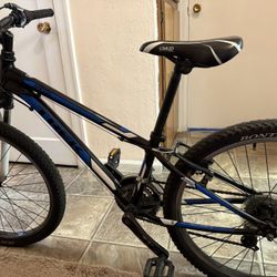 Trek Bike 