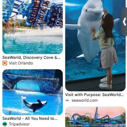 Sea World, Busch Gardens, Aquatica, Etc. $40 No Scam!  I’m Local 