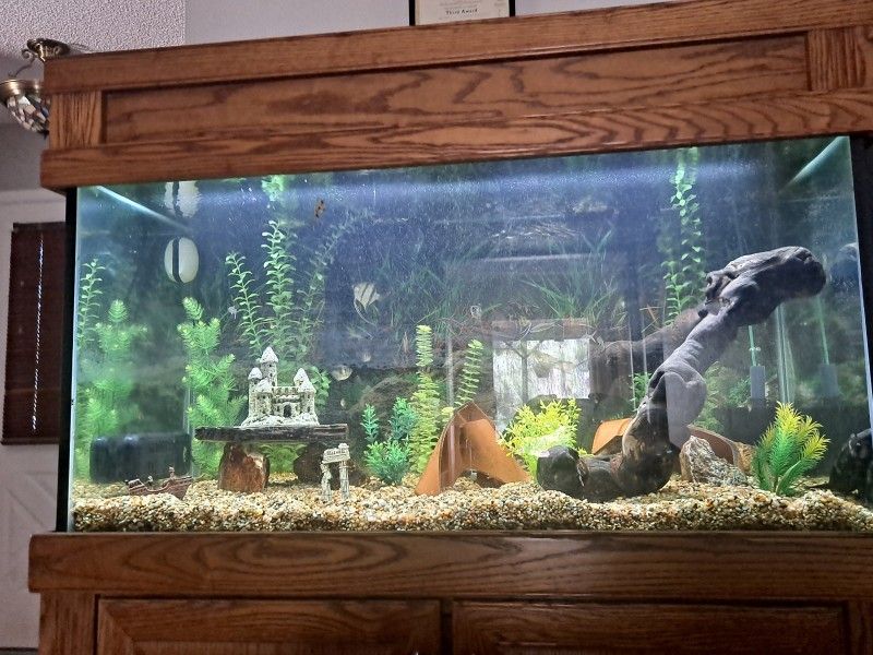 Fish Tanks For Sale