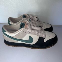 Nike Dunk Light Orewood Bicoastal