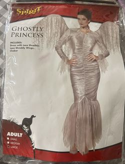 Gorgeous Brand New Ghost Princess Costume