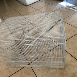Bird cage 