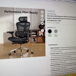 Ergonomic Chair 