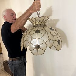 Feldman White Capjz Shell  And Brass Floral Themed Pendant Lamp