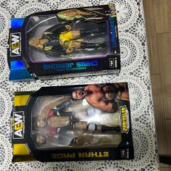 Wrestling Action Figures