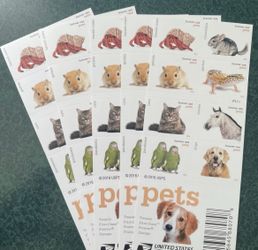5 books pets forever stamps