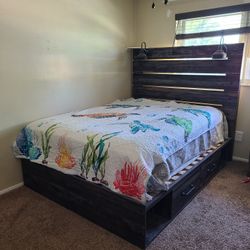 Drystan Queen Size Panel Bed 