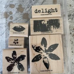 Stampin Up PAINT PRINTS  Stamp Set