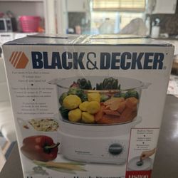 Black & Decker Flavor Scenter Handy Steamer In Box