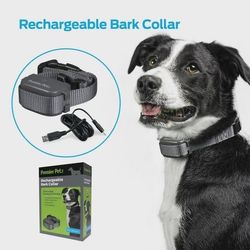 Premier Pet Rechargeable Bark Collar: Discourages Barking & Whining for All Size Dogs, Rechargeable, Adjustable, Waterproof, Gentle Static Correction,