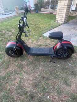 Fat tire scooter