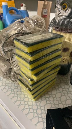 Sponges