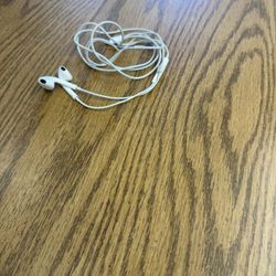 Apple Headphones 