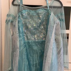 Frozen Elsa Costume Dress With Braid