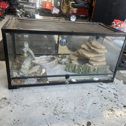 Reptile Tank