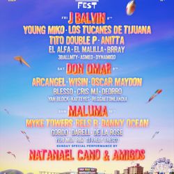Baja Beach Fest VIP Ticket