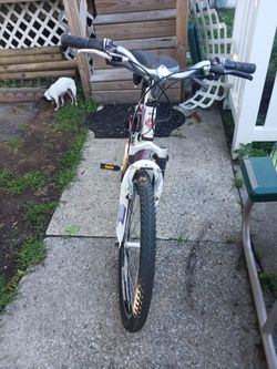 Schwinn 24 in. Girls/womans white and purple bike