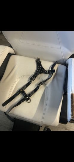 Small Dog Harness