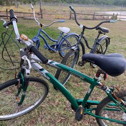 3 Bike $80