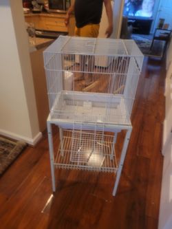 Bird Cage