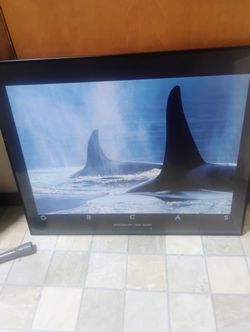 FRAMED ORCA PICTURE