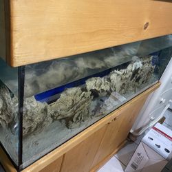 Fish Tank With Stand And Stump 