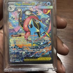 Mega Greninja SIR