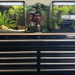 Two Fish Tanks & Tool Chest