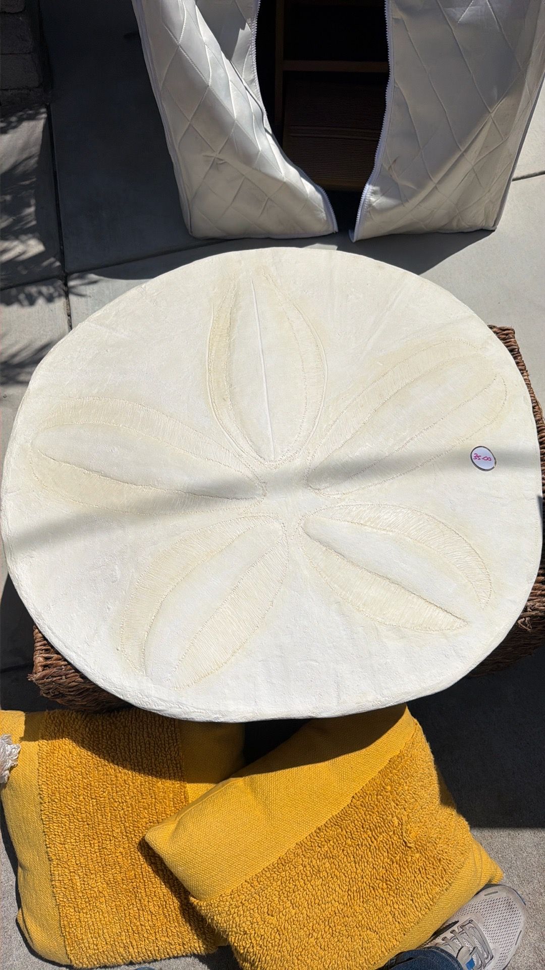 Decorative Sand dollar Art