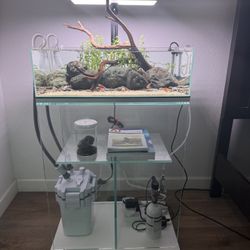 AQUARIUM RIMLESS UNS 60S
