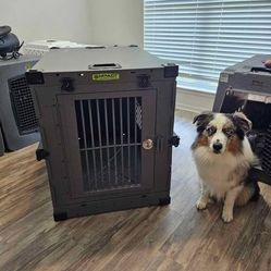 Impact-Dog-Crate-XL
