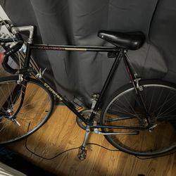 Large Frame Vintage Bicycle - 1987 Schwinn World Sport
