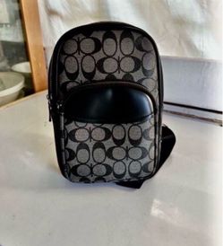 Coach mini backpack
