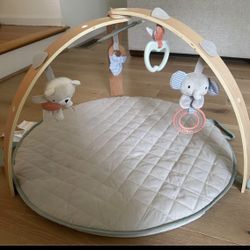Baby Activity Gym&playmat