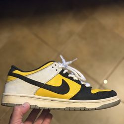 Nike SB Dunk BIC