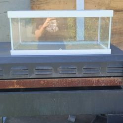 Glass Tank