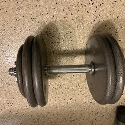 50lbs Dumbbells Pair