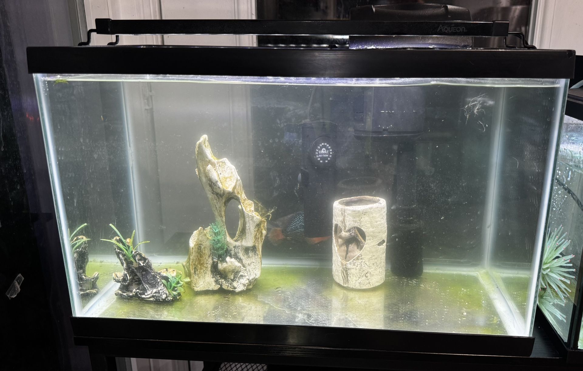 10 Gallon Fish Tank Aquarium