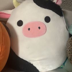 Walgreens Exclusive 16” Connor Cow Squishmallow 