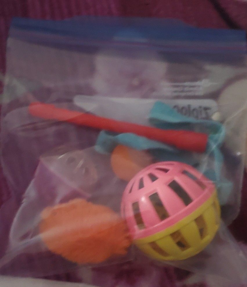 CAT TOYS